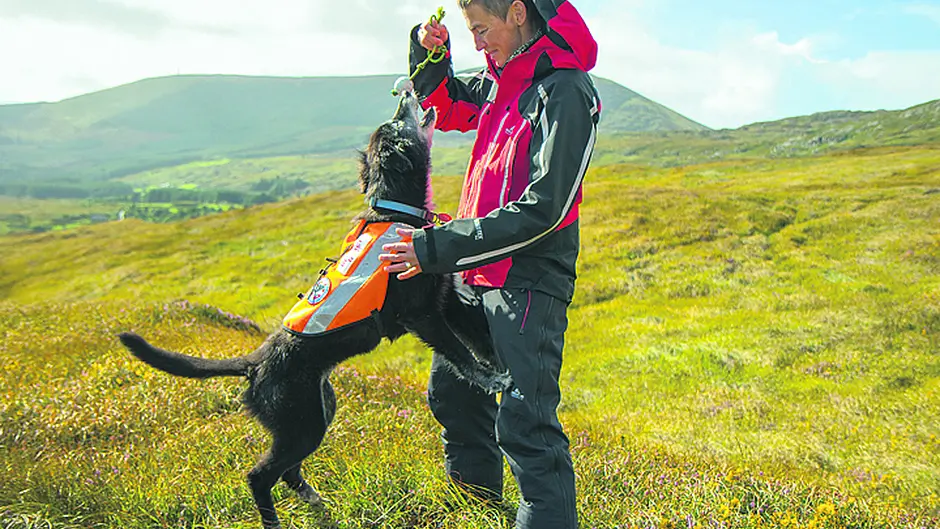 No paws for thought during Koiru's eight years as a search & rescue dog Image