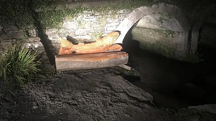 Drimoleague's missing wooden salmon sculpture found in Caheragh Image