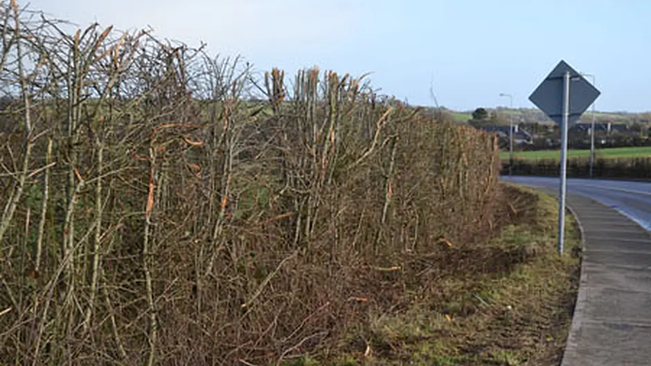 Senator calls for Bandon by-pass funding Image