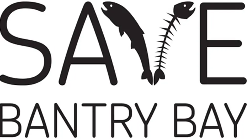 Oral hearing for Bantry Bay salmon farm Image