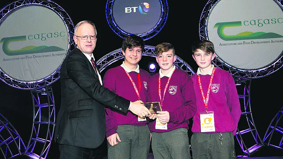 Schull students win Teagasc special award for agroforestry project Image