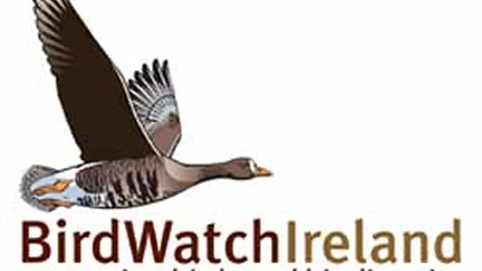 Dawn-to-dusk bird event for all ages Image