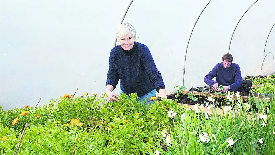 Bumblebee Farm knows the real powers of flowers Image