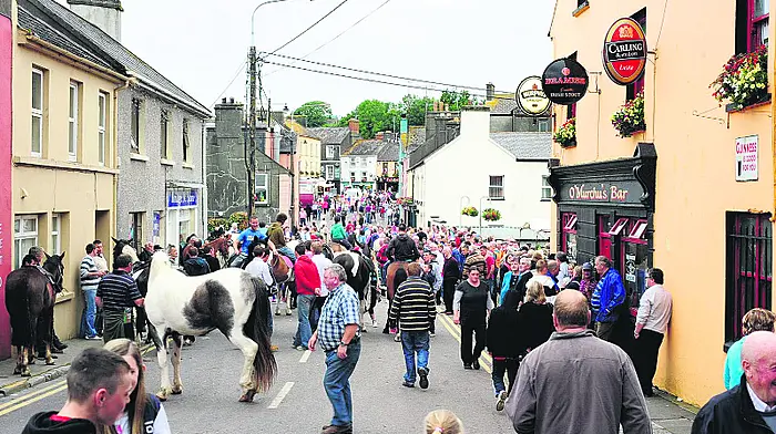 Casual trading by-laws could be ‘death knell' for local horse fairs Image