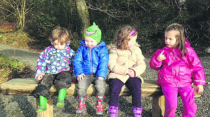 Rineen's famous fairies appear to have upped sticks Image