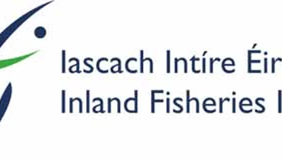 Brothers fined for illegal  fishing on Argideen River Image