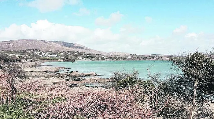Three sources targeted for funds to build 225-berth Schull marina Image