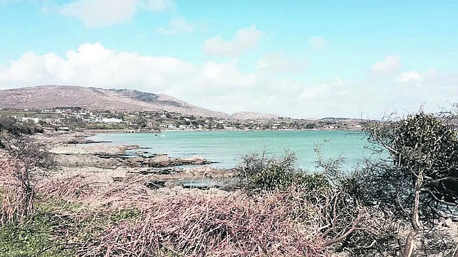 Three sources targeted for funds to build 225-berth Schull marina Image