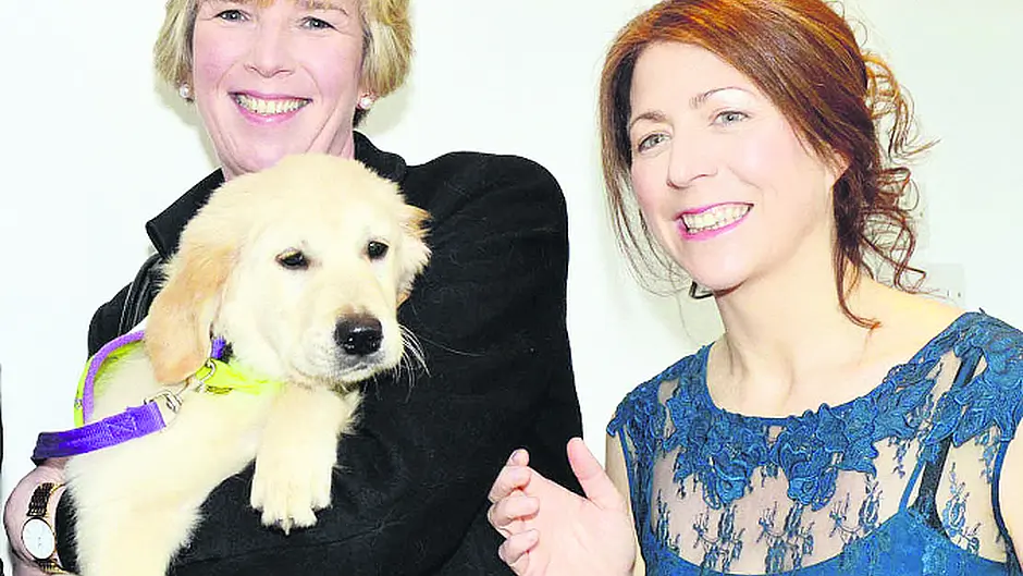 Dogs for Disabled charity seeks help Image