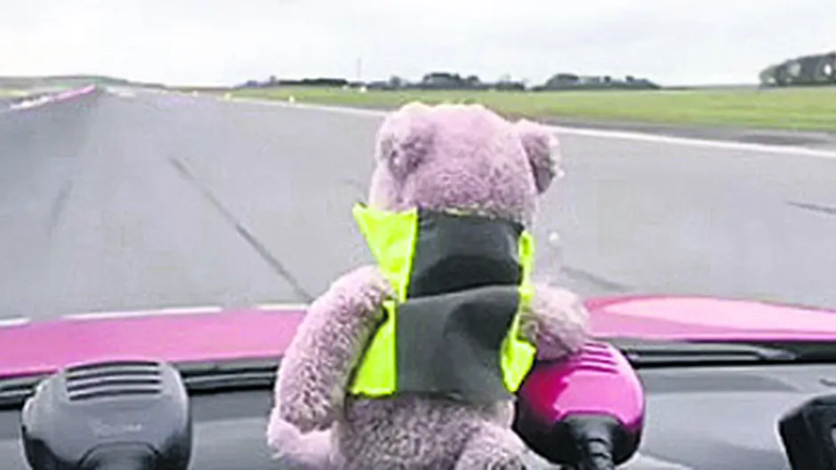 Forgotten Teddy is flying high after week at airport Image