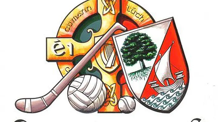 Clonakilty GAA Notes: Encouraging performance from under-strength seniors Image