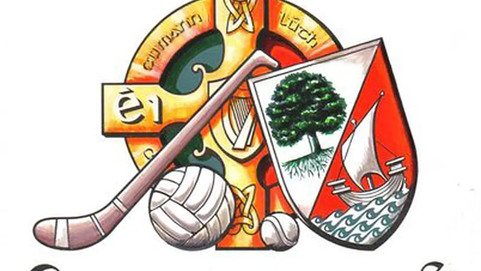 Clonakilty GAA Notes: Encouraging performance from under-strength seniors Image