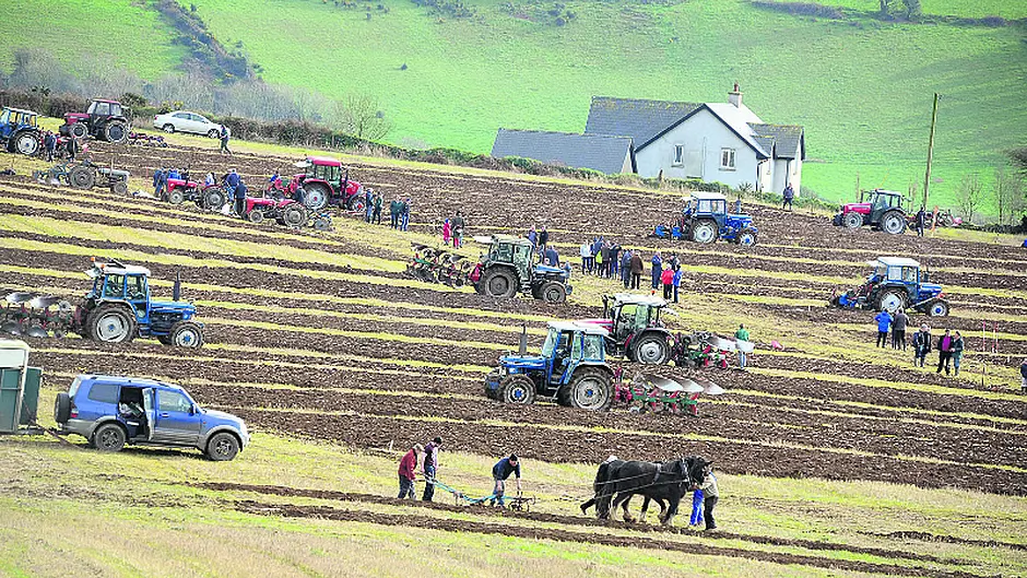 Large turnout for Clogagh ploughing Image