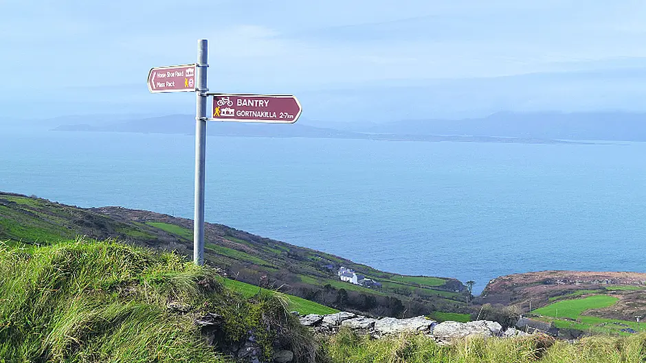 ‘Nobody wants salmon farm in Bantry Bay', local resident tells appeal board Image