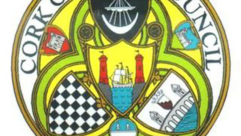 Arts grants are unveiled by County Council Image