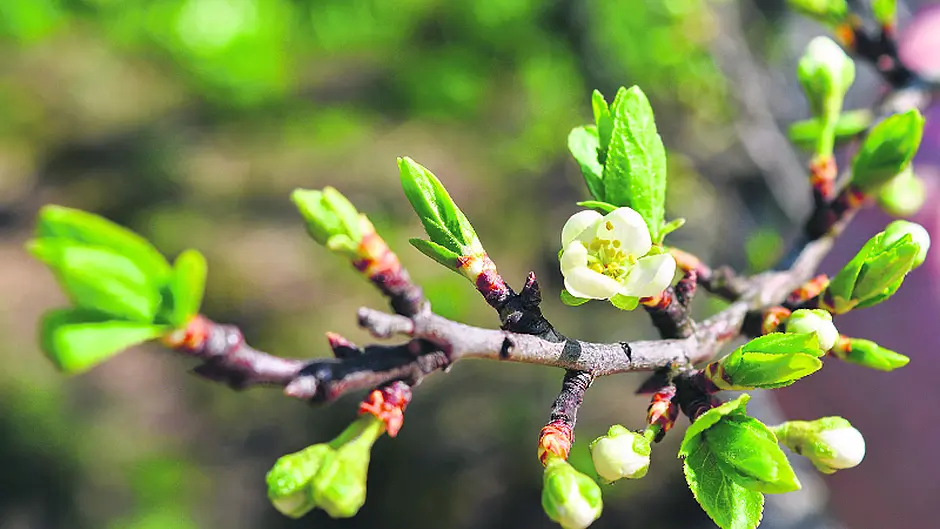 Springtime ‘life force' is almost palpable Image