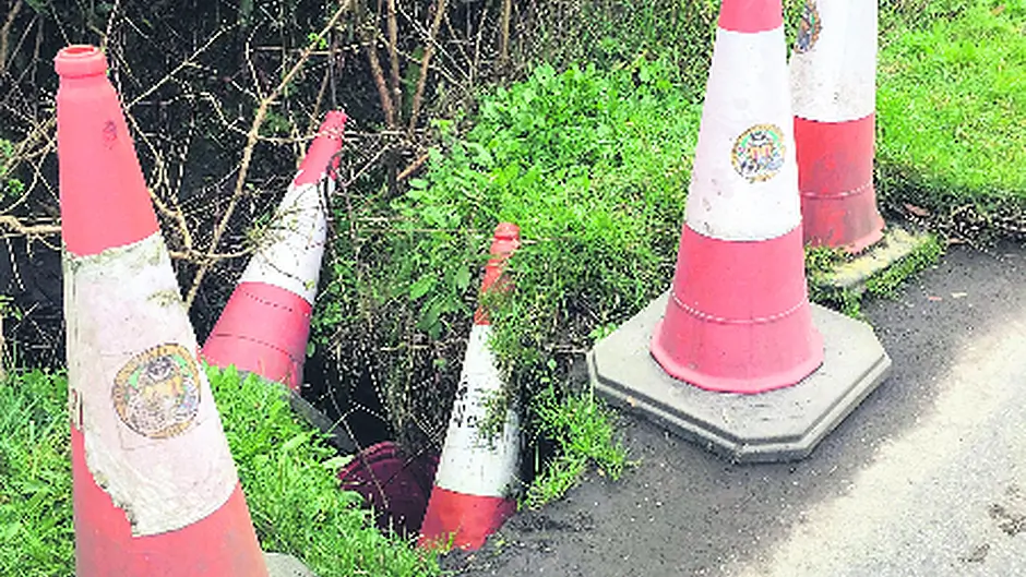 Oh cone! Oh cone! You wait for one ... and then six come along Image