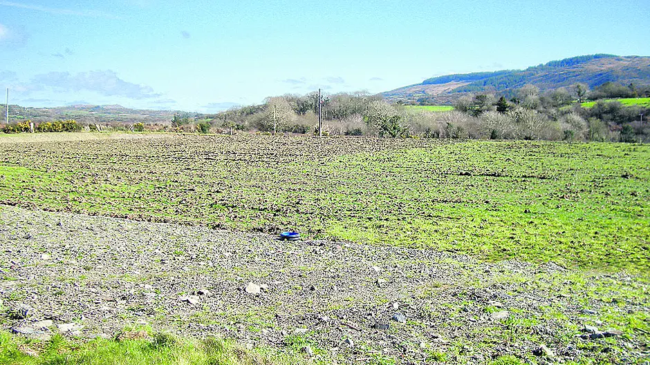 Muintir Bháire GAA Club wants a place to call home Image