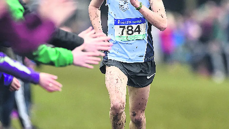 Darragh races to All-Ireland schools' title Image