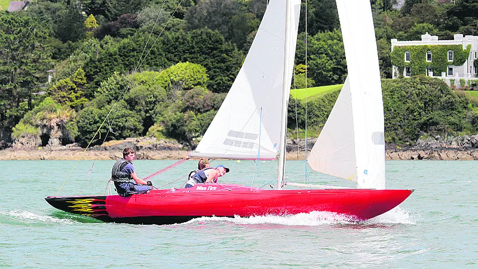 Locals are breathing new life into Glandore's fleet of Dragons Image