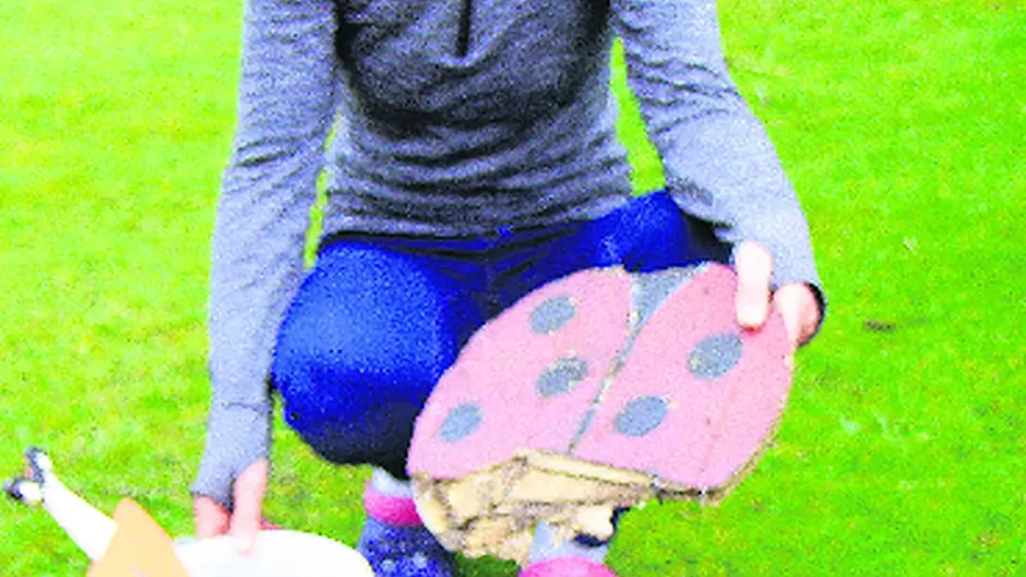 Local fairies are left homeless by ‘heartless' Coillte Image