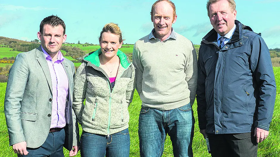Recommended list of grass and white clover varieties launched Image