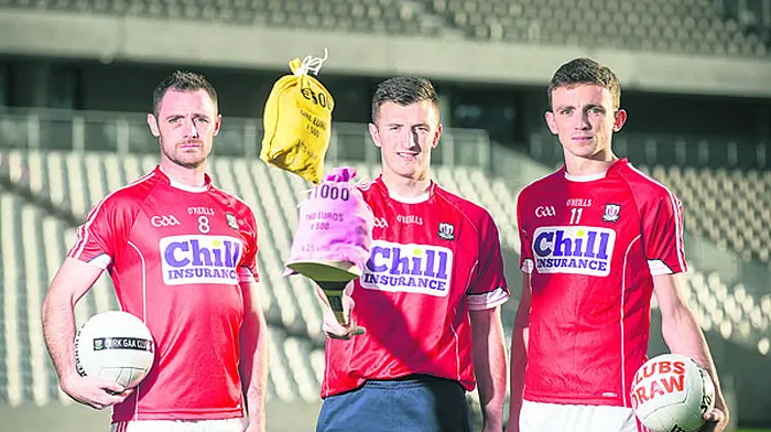 Clubs urged to support Cork GAA draw Image
