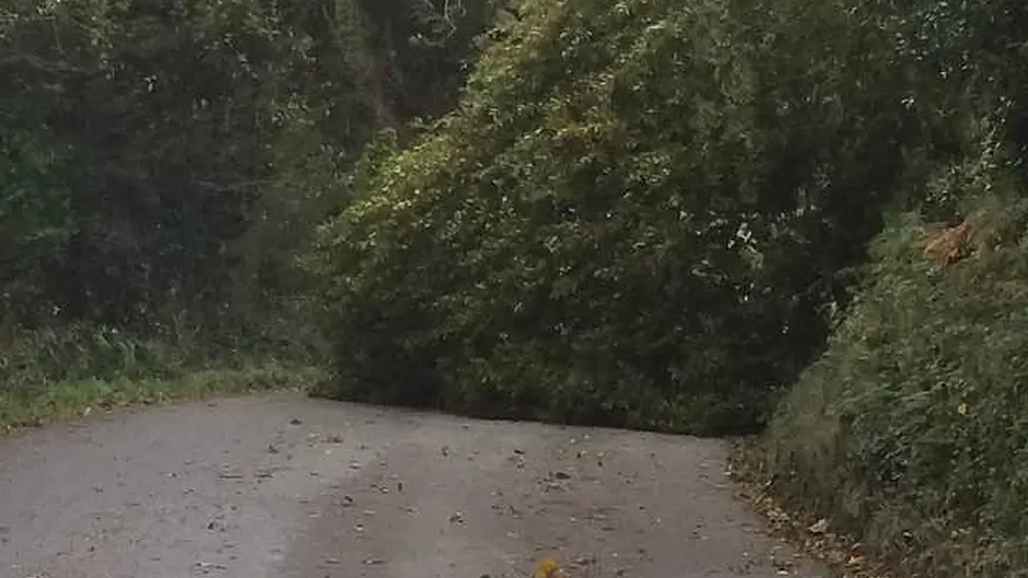 Storm Ophelia: ESB Networks says 120,000 customers without power Image