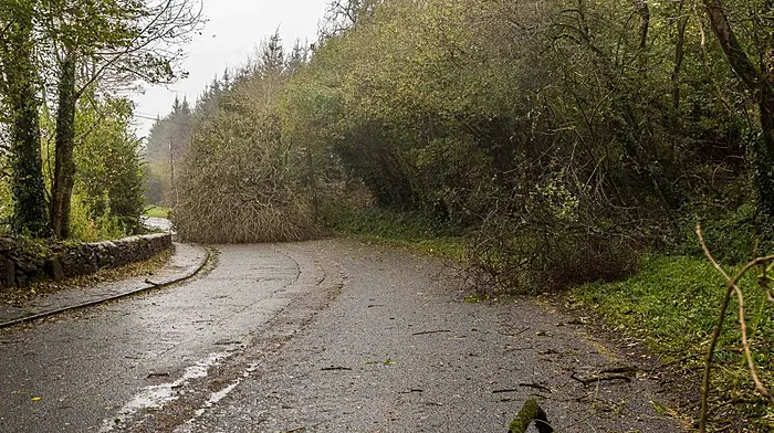 Clean up operation begins across the county Image