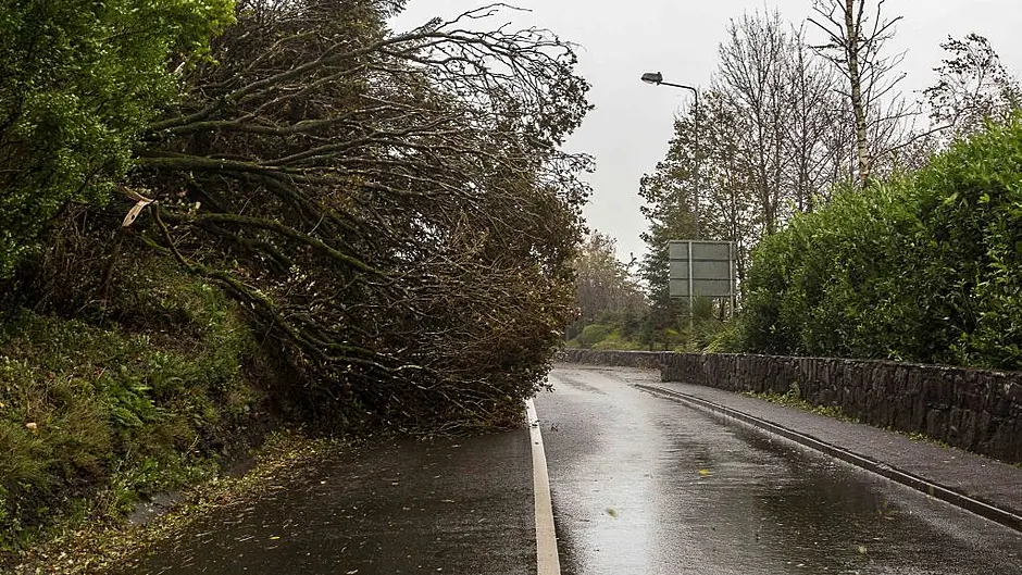 ESB crews working overtime to restore power supplies across West Cork Image