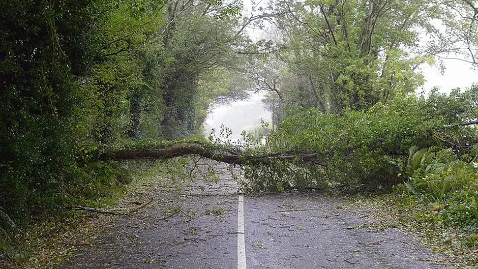 Public should think before making an insurance claim Image