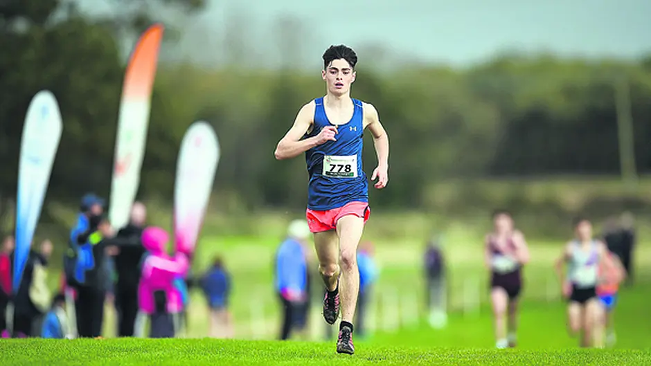 Darragh and Lara come out on top Image