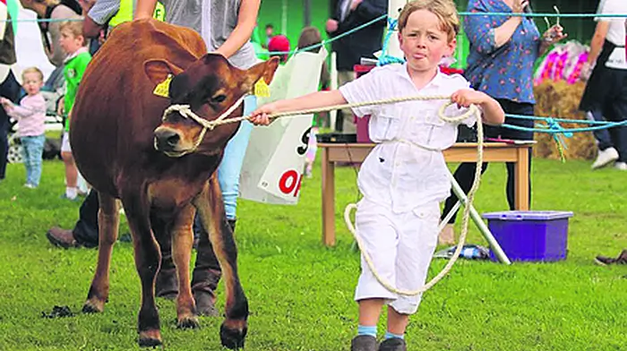 Brothers on Show with TV debut Image