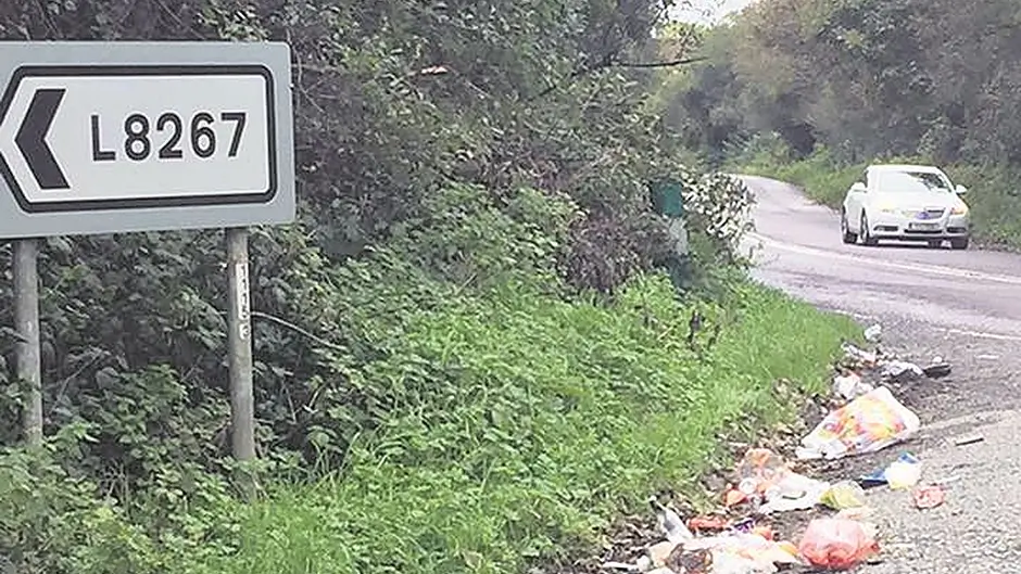 Time litter louts were ‘named and shamed' Image