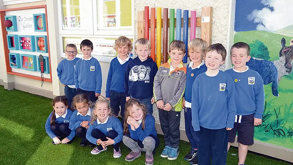 Student senses that garden is the ‘best thing' in Eyeries Image