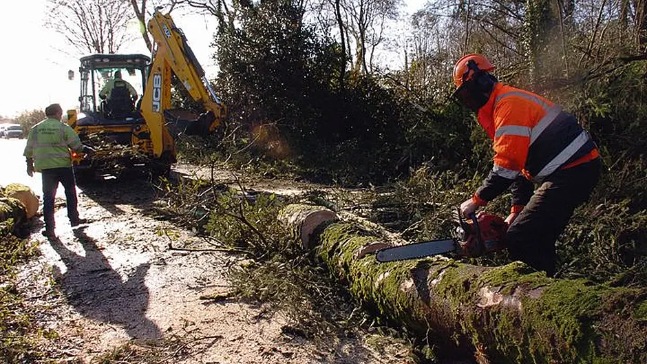 Storm-damaged phone lines are still out of order Image