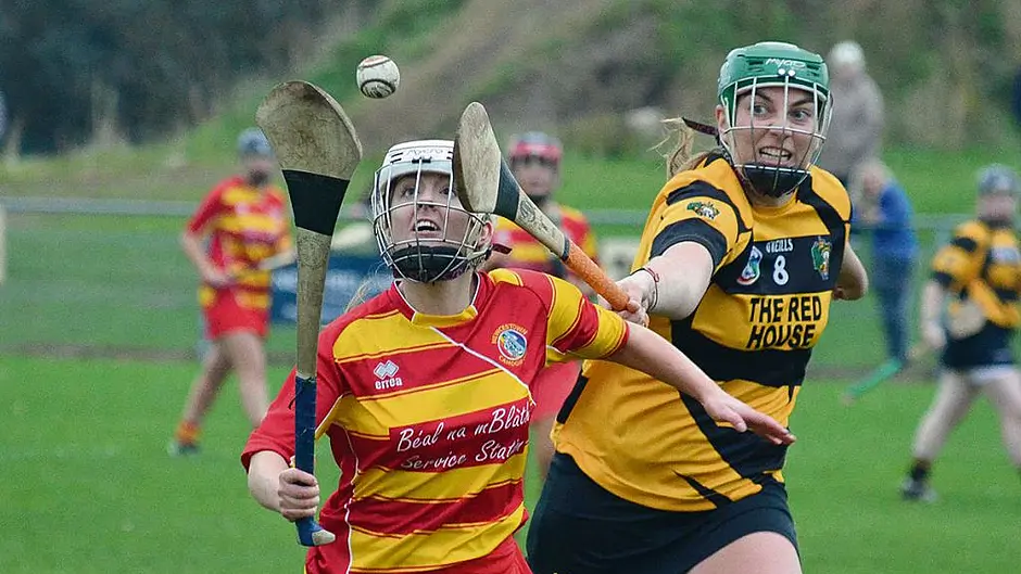 Newcestown go down fighting in Munster camogie final Image