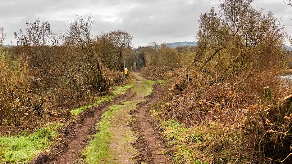 Gearagh closed this week as ESB to start remedial works today Image