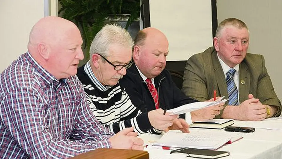 Carrigdhoun clubs to vote on senior hurling participation Image