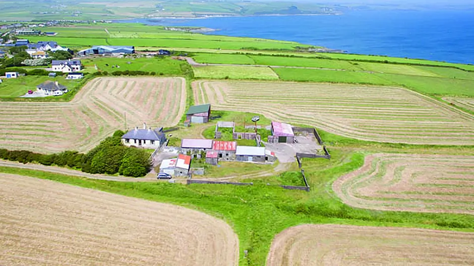 Kinsale holding sold for nearly three times the going rate of farm land Image