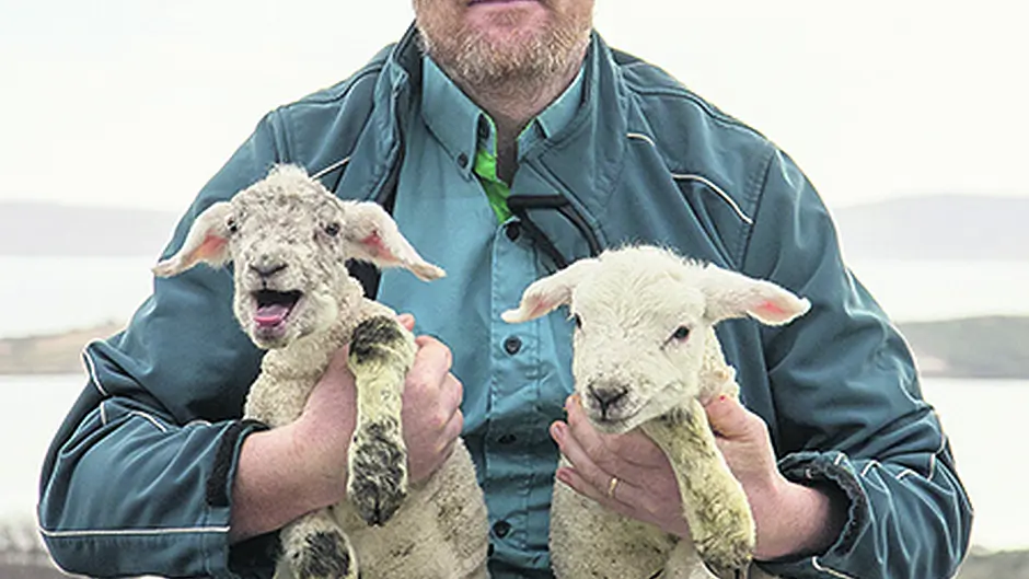 Beara postman Seamus springs into action to help neighbour deliver lambs Image