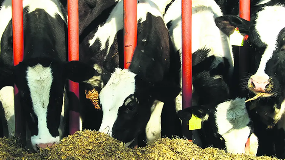 Fodder imports aim to ease the pressure on farmers Image