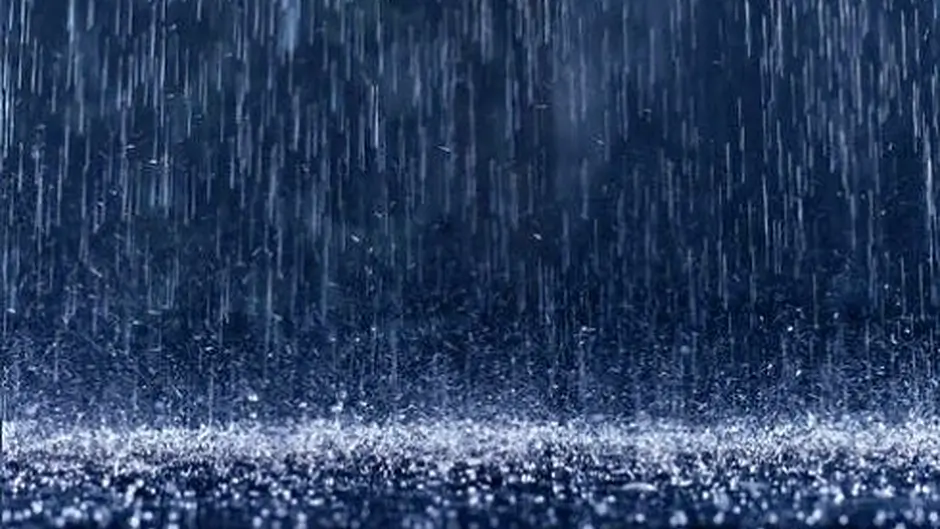 Some West Cork roads blocked due to fallen trees and flooding Image