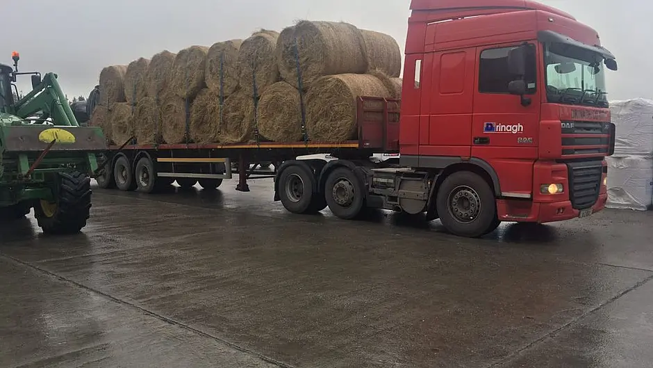 Farmers down to final days of fodder Image