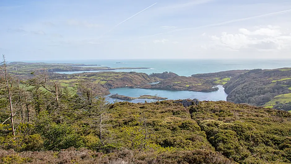 June date for storm-hit Lough Hyne wood to open Image