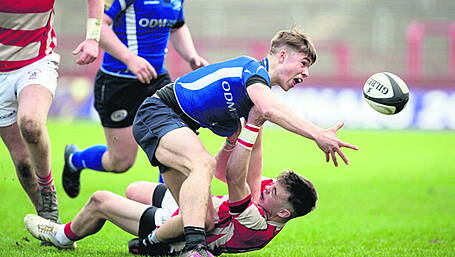 SPECIAL FEATURE: West Cork exploits and exports show rugby country is growing Image