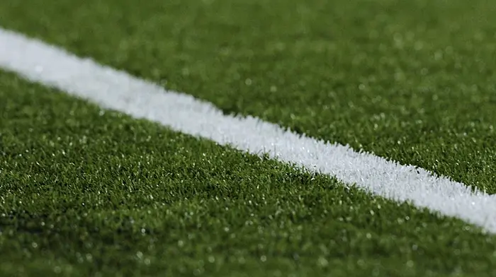 Carbery GAA exploring possibility of building a 4G pitch in West Cork Image