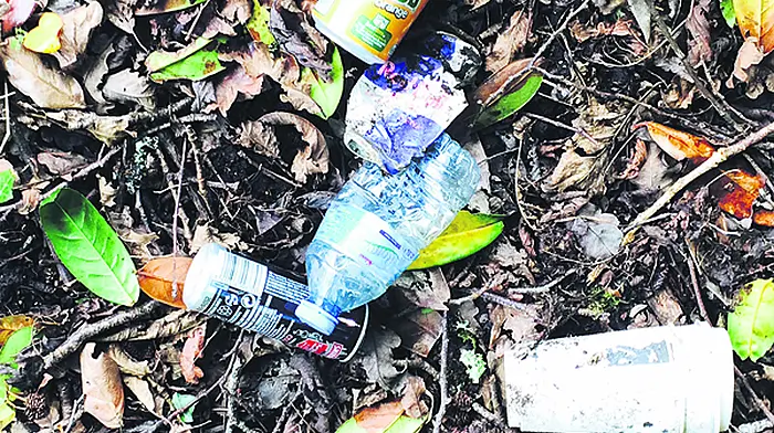 Skibbereen man praised for road litter  clean-up Image