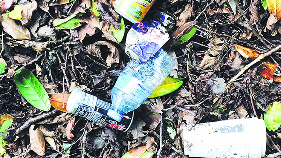 Skibbereen man praised for road litter  clean-up Image