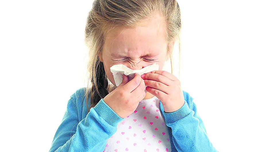 Hay fever season again Image